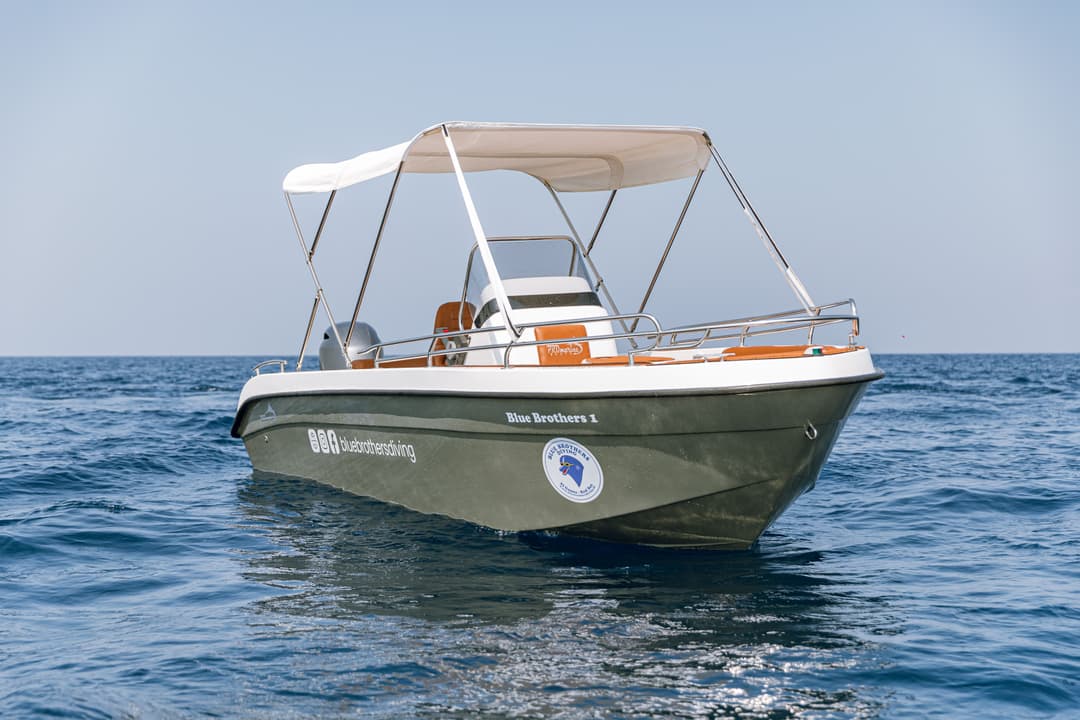 A small, green and white motorboat with a canopy anchored calmly in clear blue ocean water.