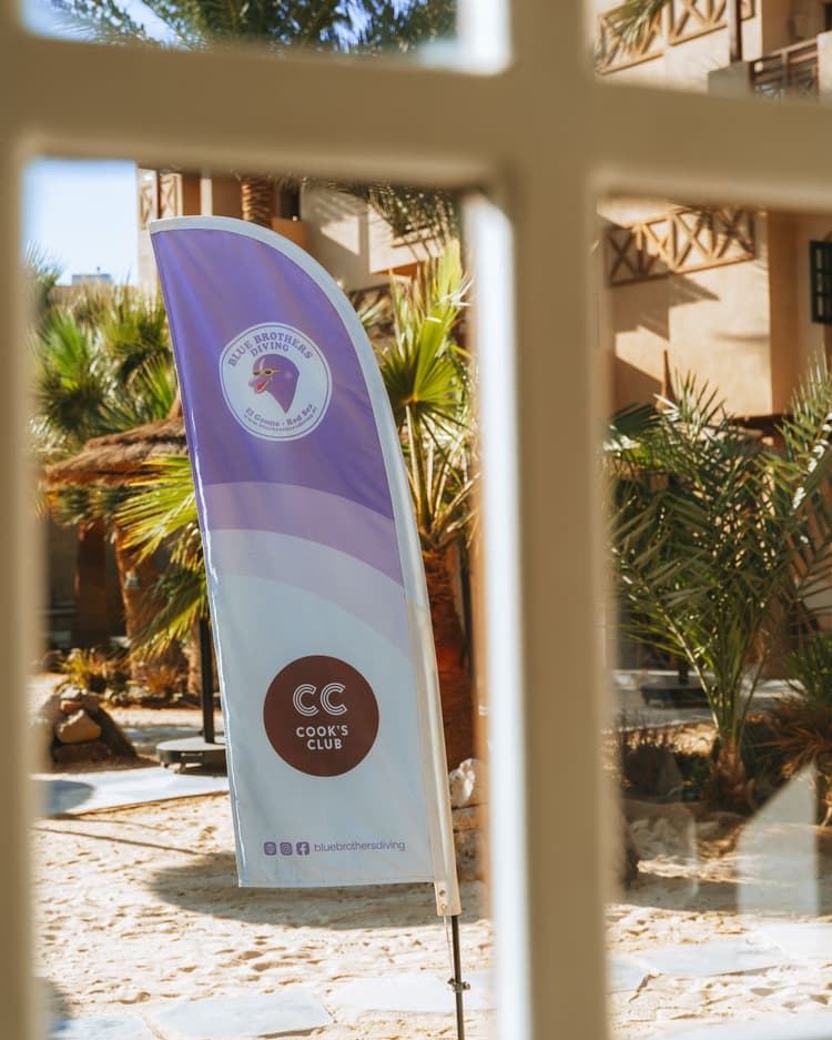Purple and white feather banner for "CC Week" seen through a window pane.