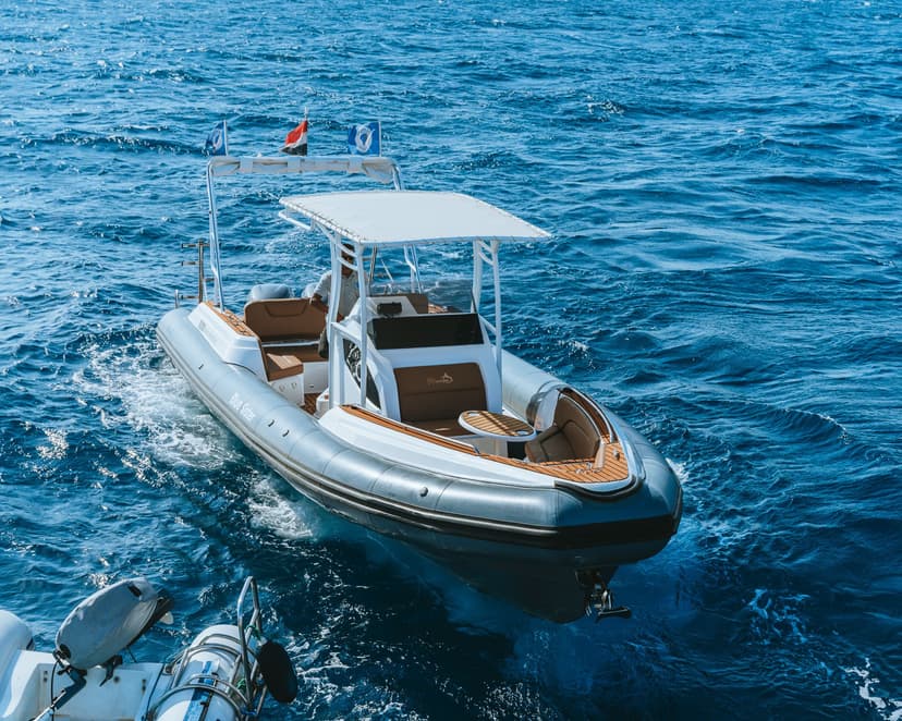 Speedboat-Tauchtrip – 2 Tauchgängen im Roten Meer
