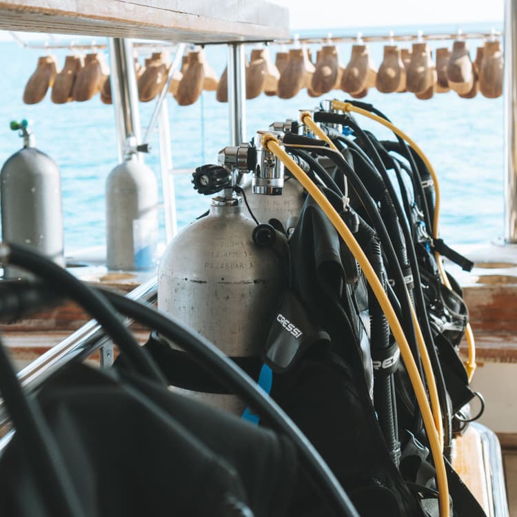 Scuba diving tanks and gear on a boat with flippers drying in the background.