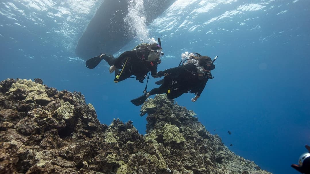 Scuba divers swim near coral formations directly beneath a boat floating on the surface.