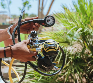 advanced-owd-gallery