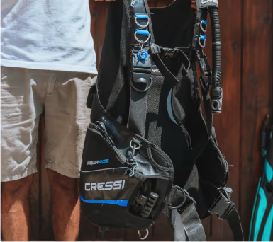 advanced-owd-gallery