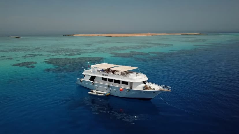 Tauchausflug in El Gouna