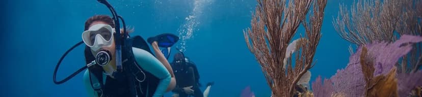 Open Water Diver – Explore the Currents with the PADI Specialty Course