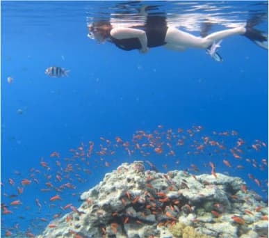 snorkeling-day-trip-gallery