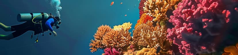 Speedboat Snorkeling Trip